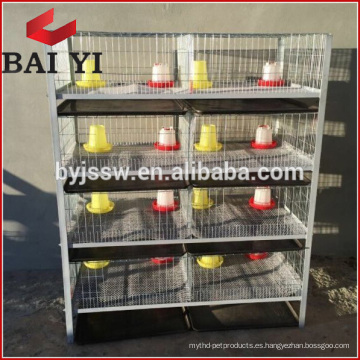 H Type 4 Layer Baby Chicken Jaula / Brooder / Day Old Jaulas de pollo a la venta